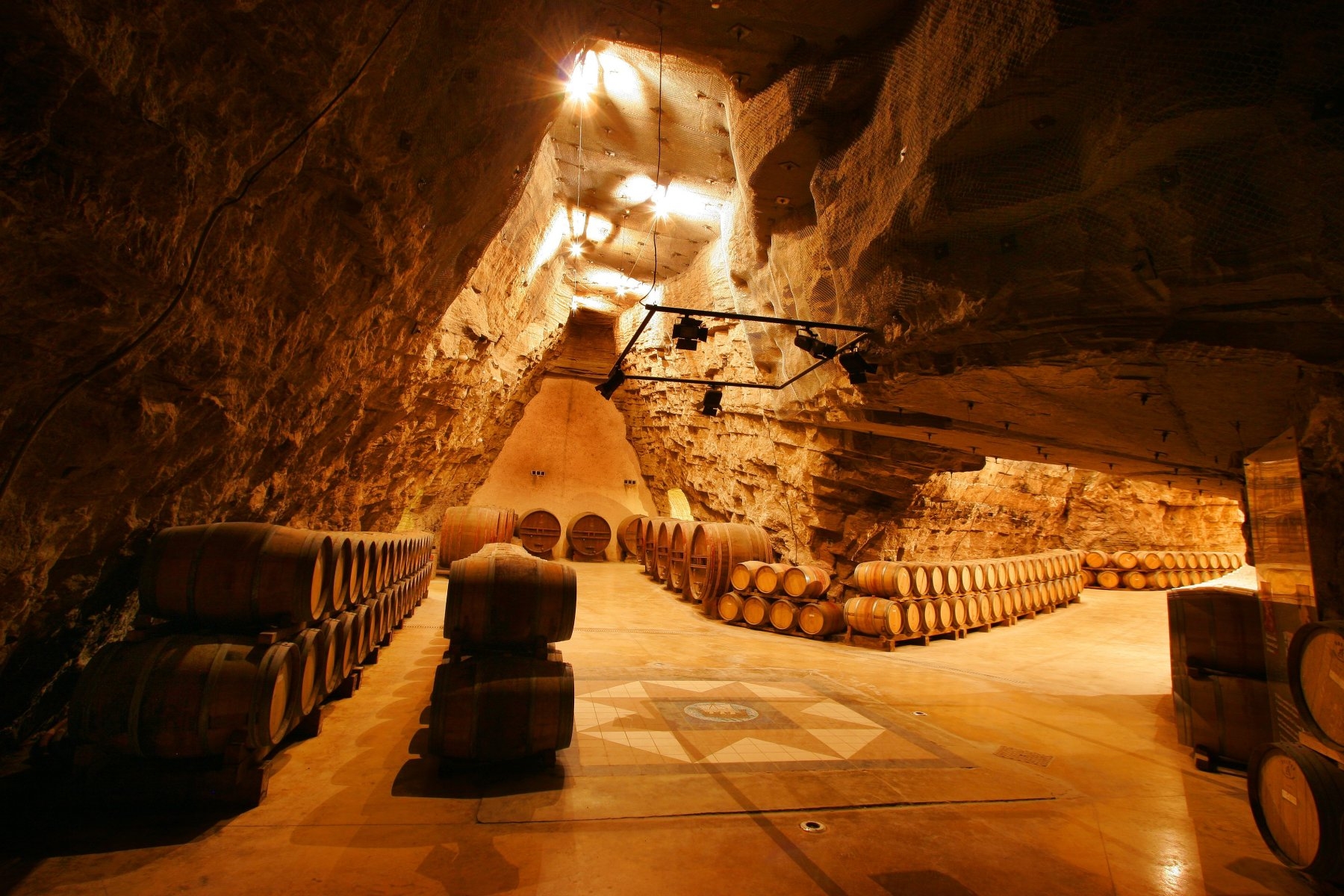 Sudfrance.fr - Visite de Terra Vinéa à Portel des Corbières