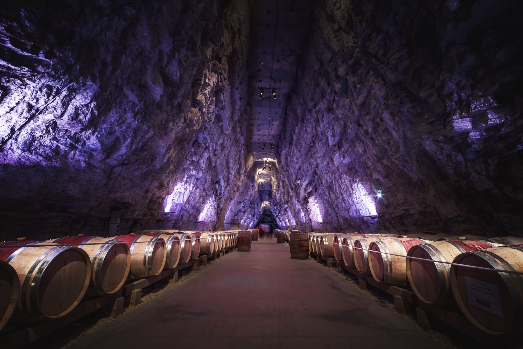 Sudfrance.fr - Visite de Terra Vinéa à Portel des Corbières