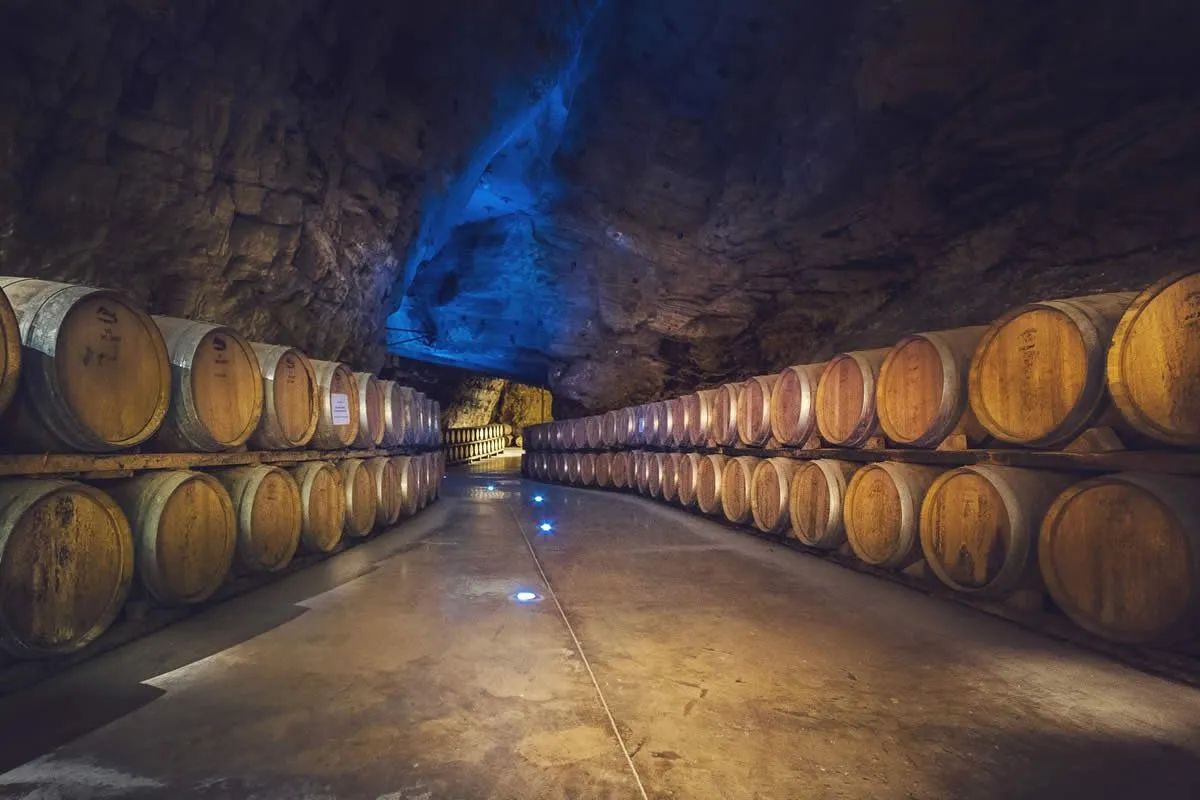 Sudfrance.fr - Visite de Terra Vinea à Portel des Corbières