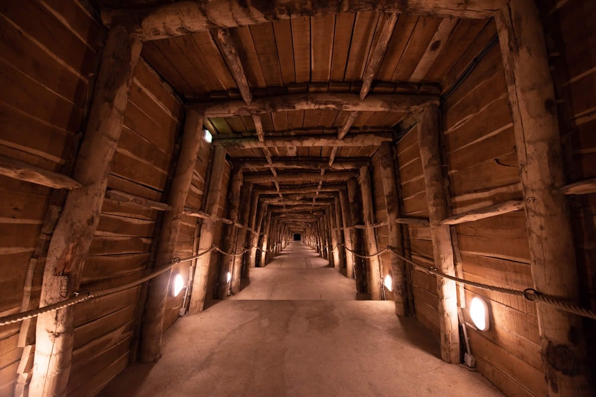 Sudfrance.fr - Visite de Terra Vinea à Portel des Corbières