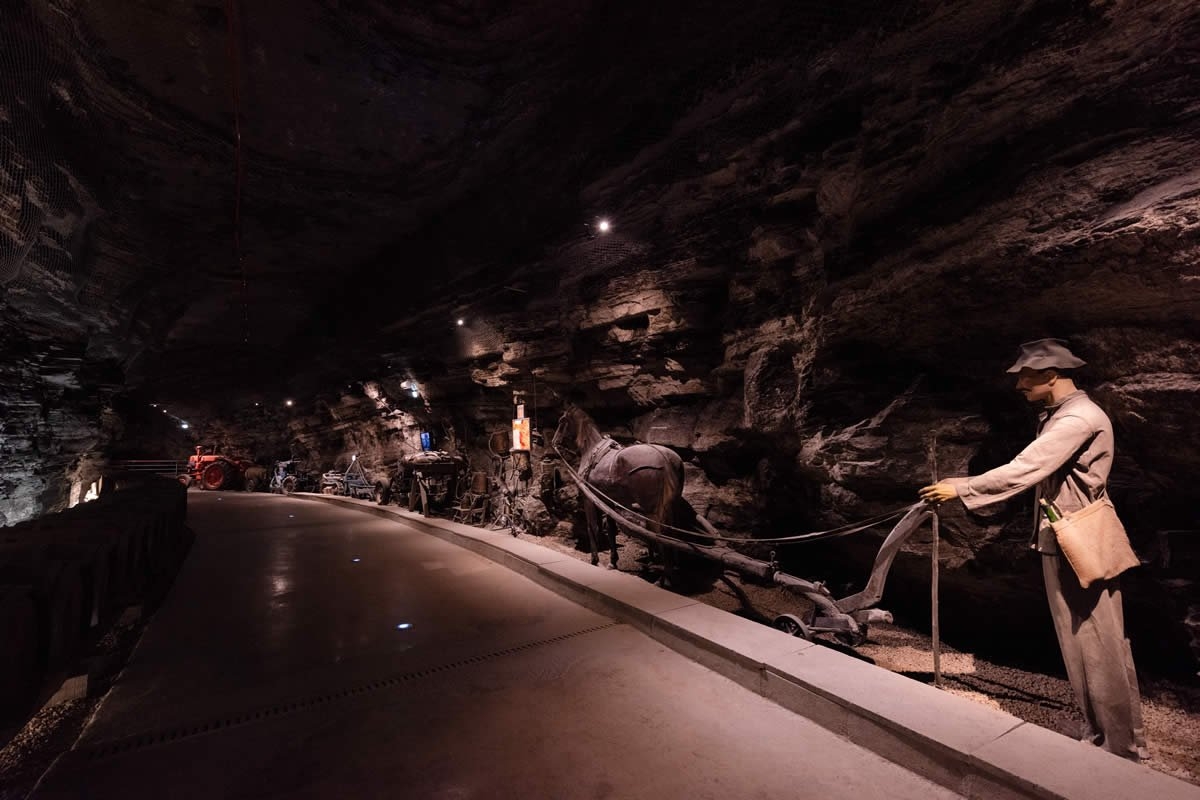 Sudfrance.fr - Visite de Terra Vinea à Portel des Corbières