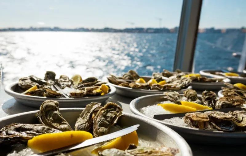 Sudfrance.fr - Évasion avec une pêcheuse sur le bassin de Thau