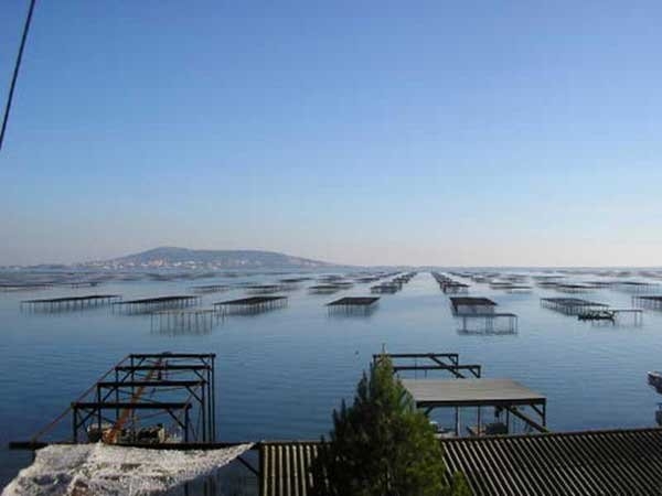 Sudfrance.fr - Evasion sur le bassin de Thau