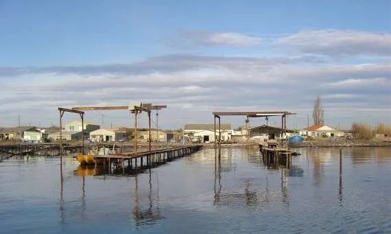 Sudfrance.fr - Évasion avec une pêcheuse sur le bassin de Thau