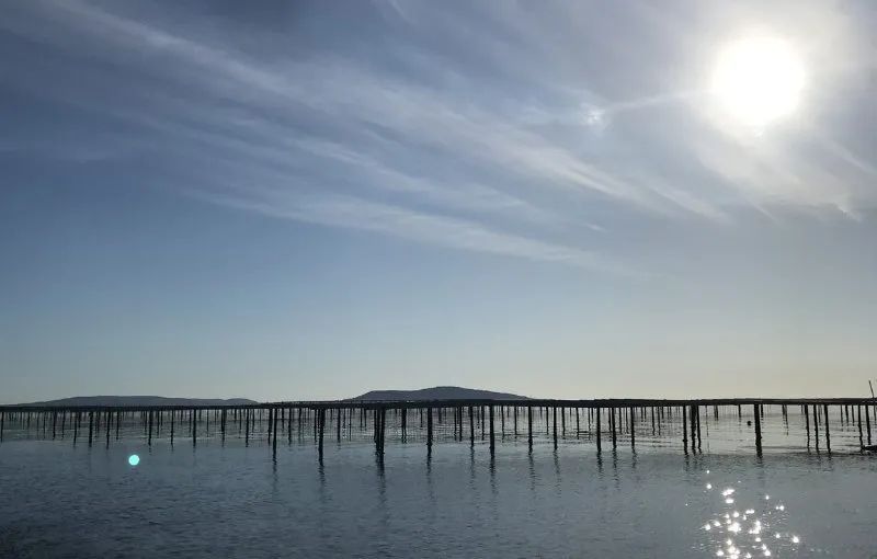Sudfrance.fr - Évasion avec une pêcheuse sur le bassin de Thau