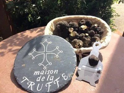 Sudfrance.fr - Visite de la Maison de la truffe à Villeneuve-Minervois