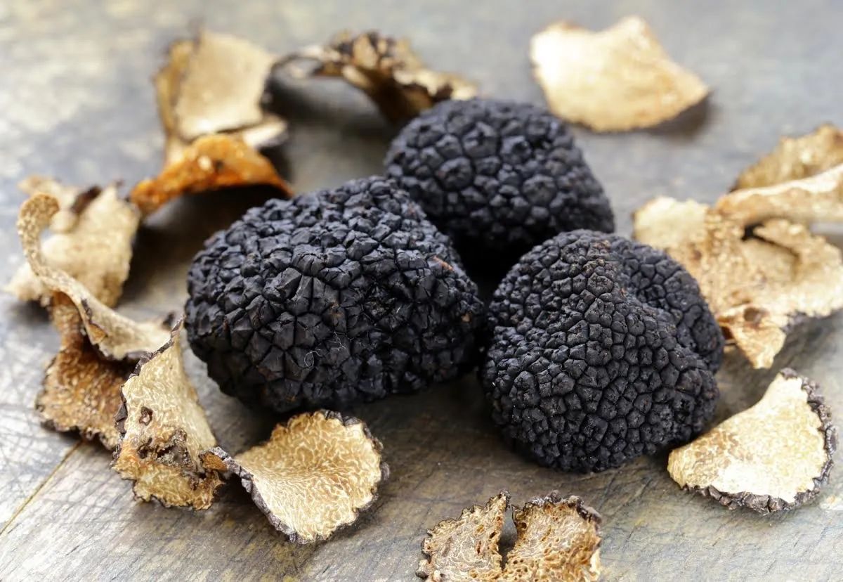 Sudfrance.fr - Visite de la Maison de la truffe à Villeneuve-Minervois