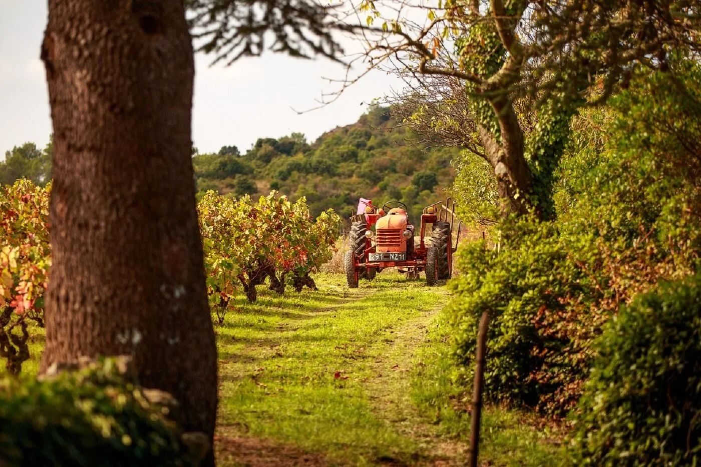 Sudfrance.fr - Visite du château de Villerouge-Termenès