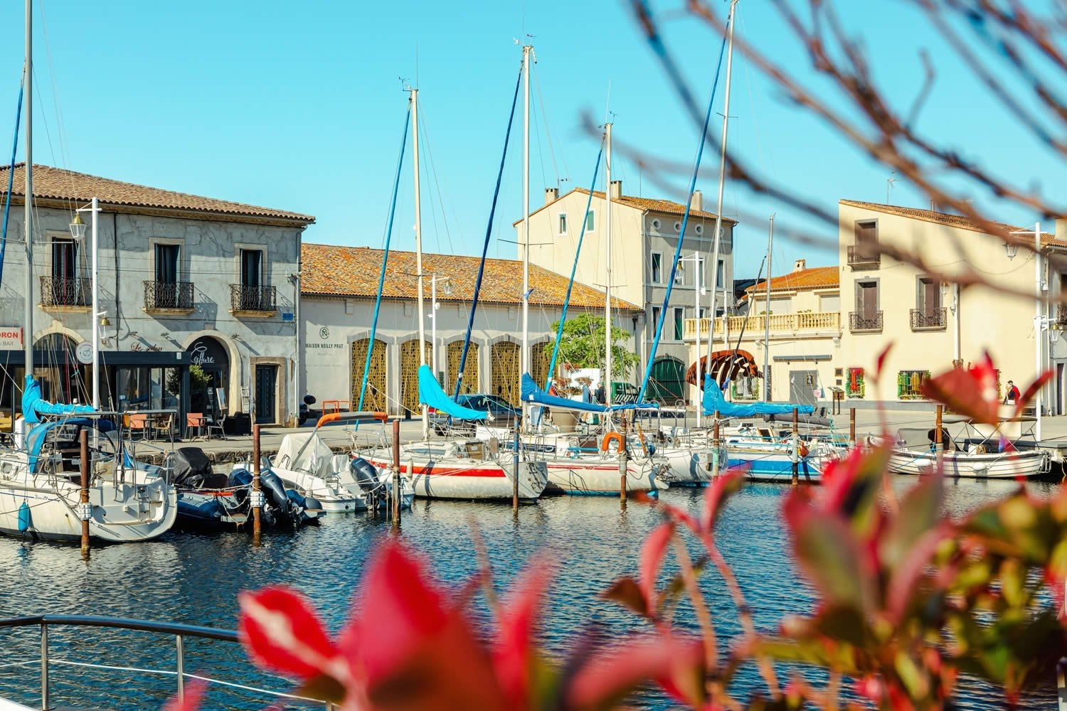 Sudfrance.fr - Visite découverte du Chai de Noilly Prat
