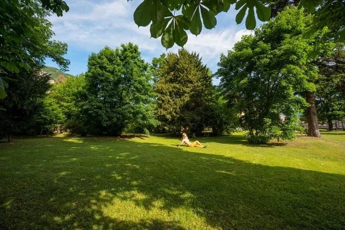 Sudfrance.fr - Séjour entre Manoir et Château