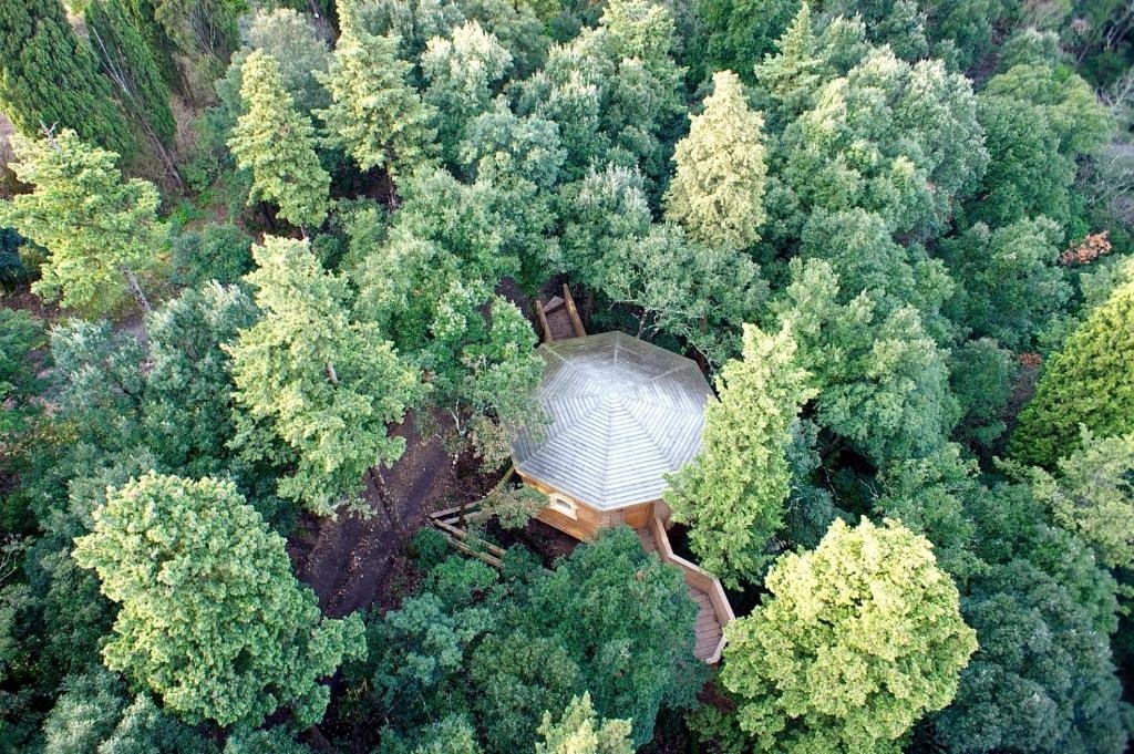 Sudfrance.fr - Nuit en Cabane dans les Bois