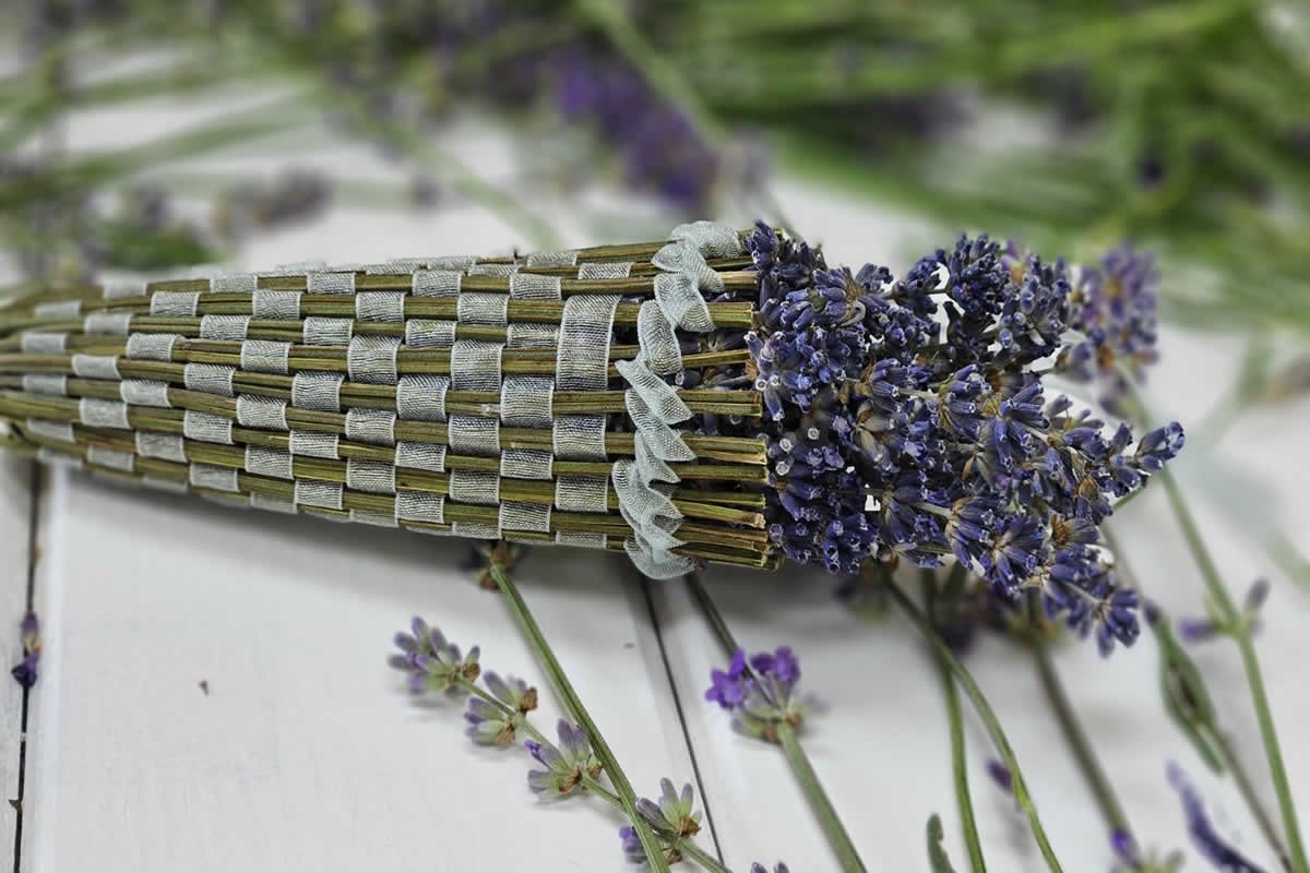 Sudfrance.fr - Ateliers créatifs DIY lavande