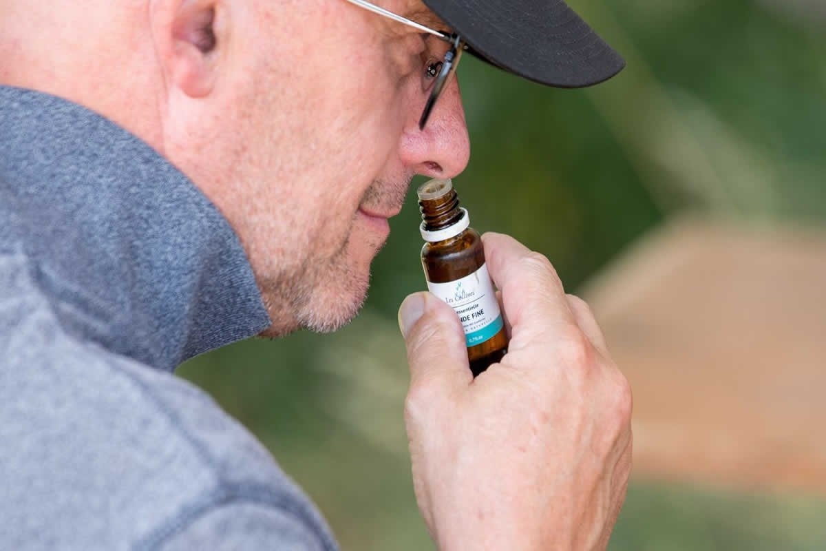 Sudfrance.fr - Ateliers créatifs DIY lavande