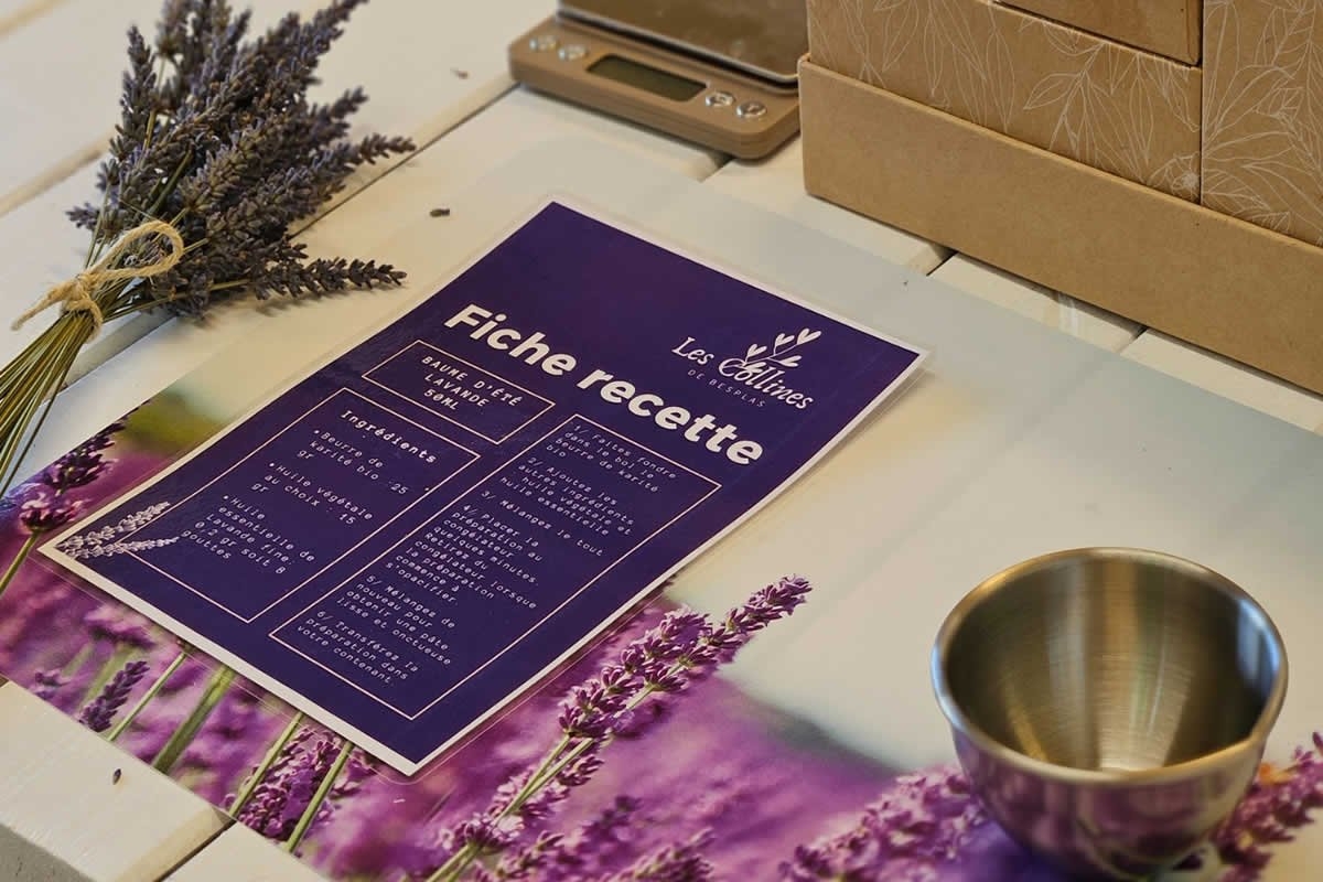 Sudfrance.fr - Excursión en grupo : escapada a la tierra de la lavanda