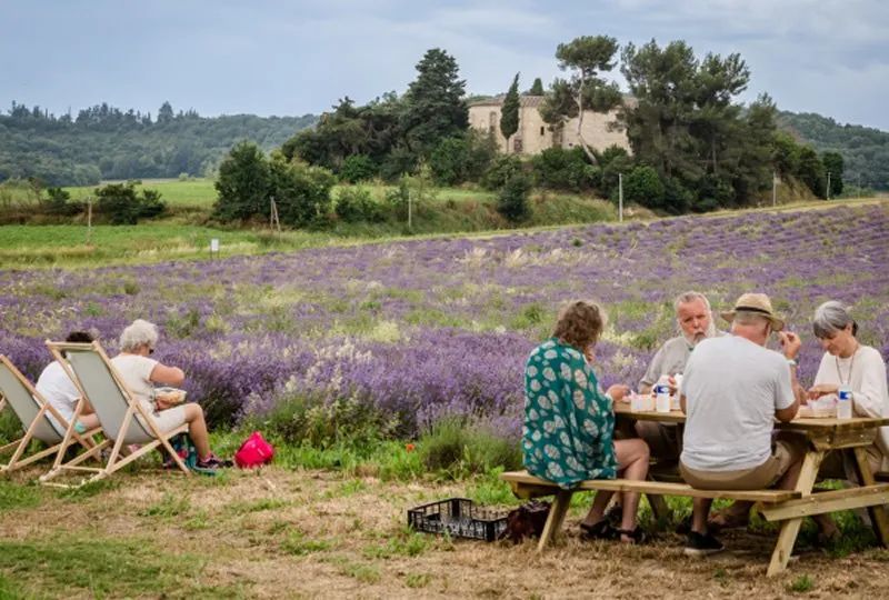 Sudfrance.fr - Journée groupe : évasion en terre de lavande