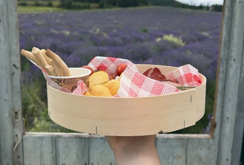 Sudfrance.fr - Visites pour scolaires autour de la lavande