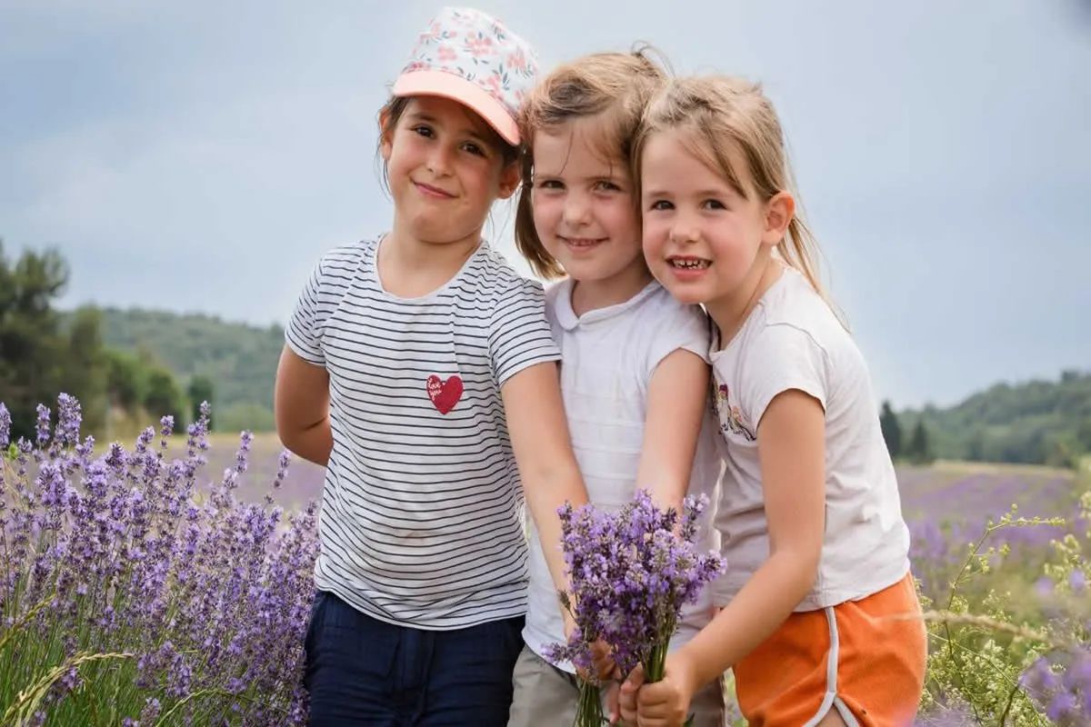 Sudfrance.fr - Visites pour scolaires autour de la lavande