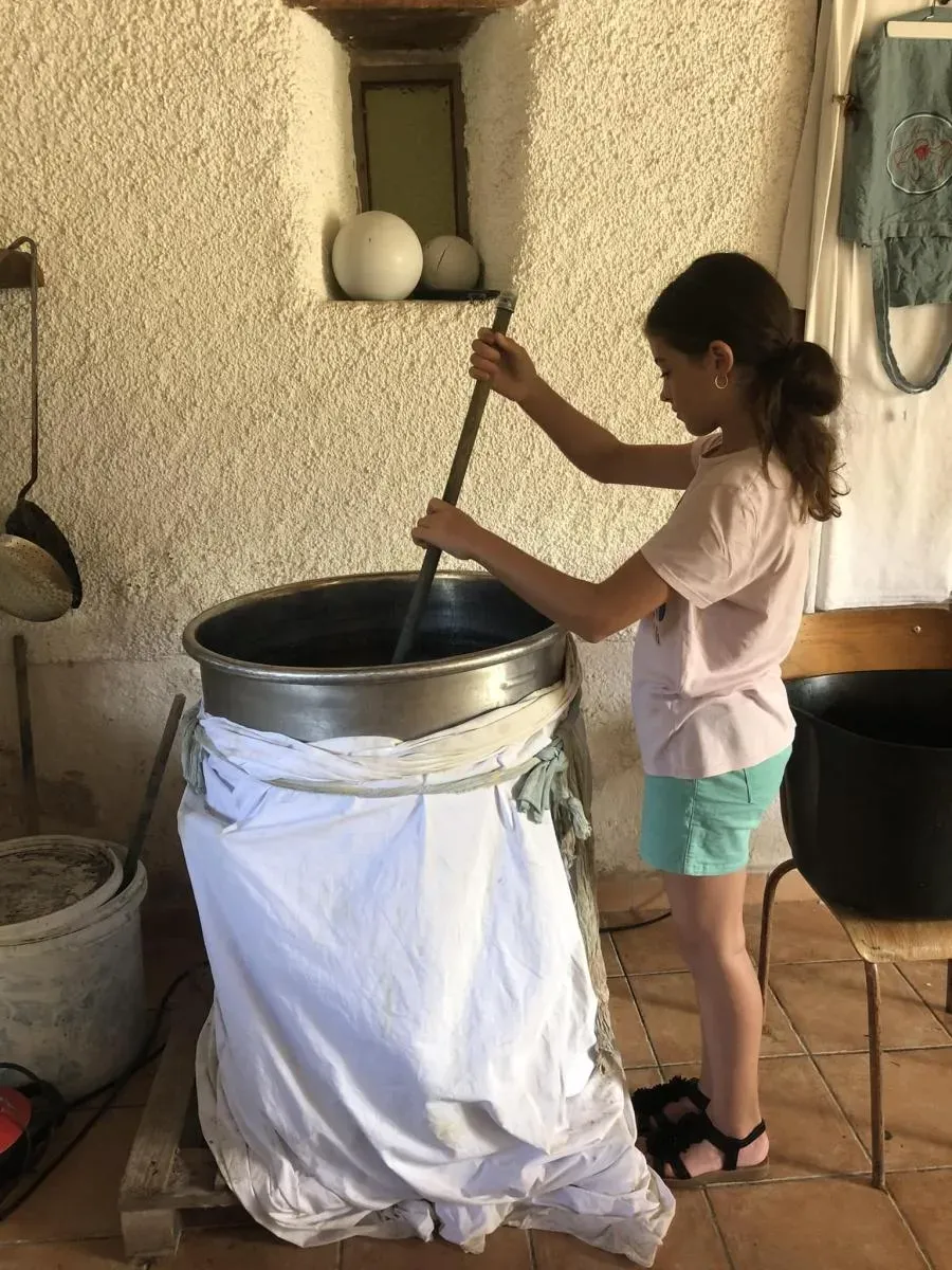 Sudfrance.fr - Pastel de la Serre, un savoir-faire unique en Pays de Cocagne