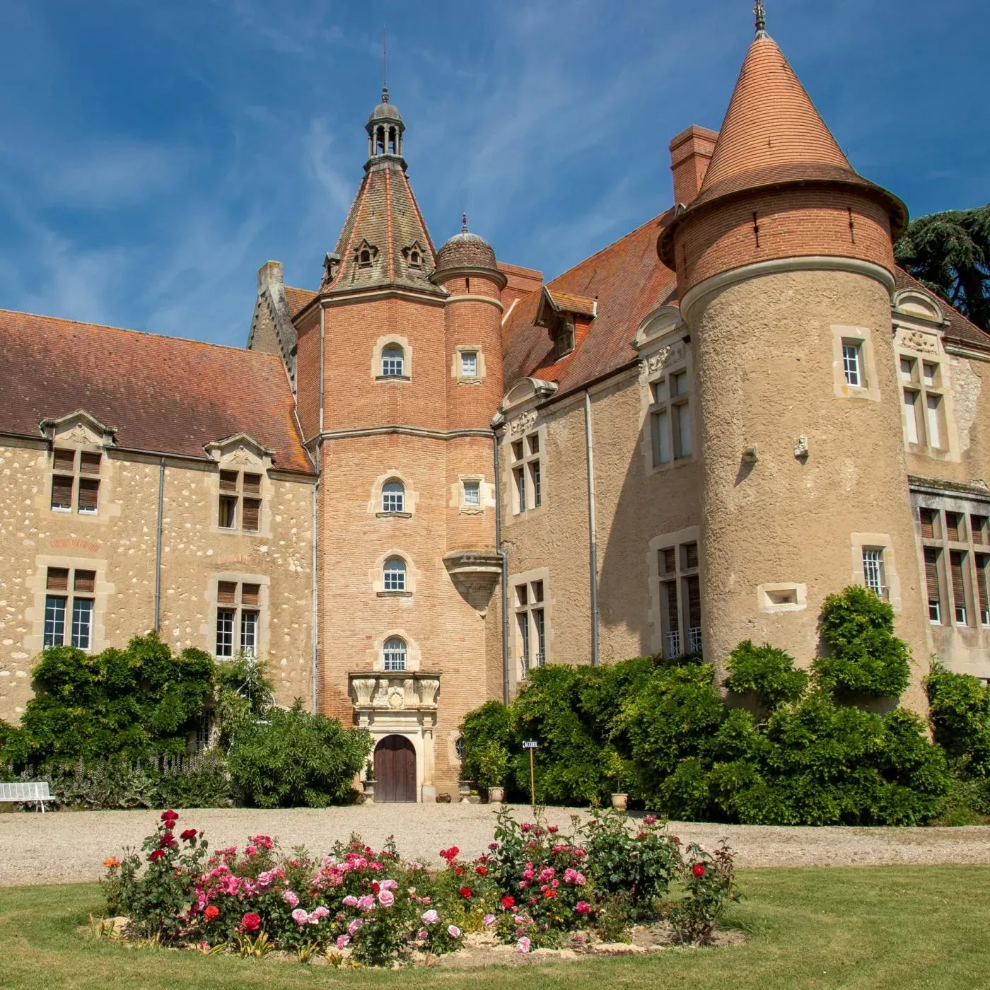 Sudfrance.fr - Pastel de la Serre, un savoir-faire unique en Pays de Cocagne