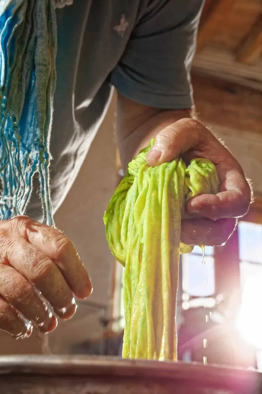 Sudfrance.fr - Pastel de la Serre, un savoir-faire unique en Pays de Cocagne