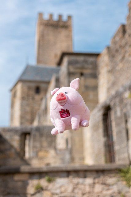 Sudfrance.fr - Caja de búsqueda del tesoro: Dame Carcas y los cerdos desaparecidos