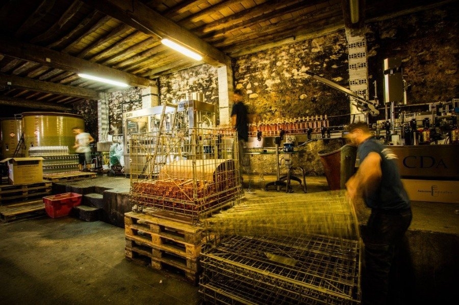 Sudfrance.fr - Devenez œnologue, le temps d’un atelier de création de votre propre vin