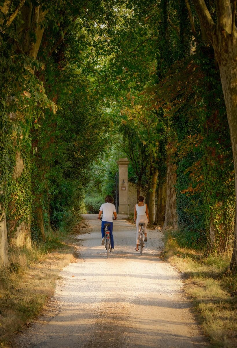 Sudfrance.fr - Parenthèse nature et bien-être en campagne Occitane