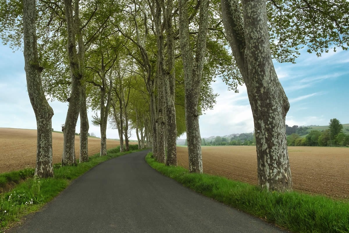 Sudfrance.fr - Escapade nature et bien-être en campagne occitane