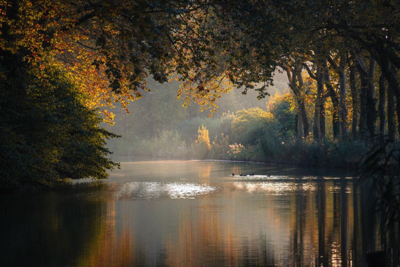 Sudfrance.fr - Séjour nature à vélo électrique