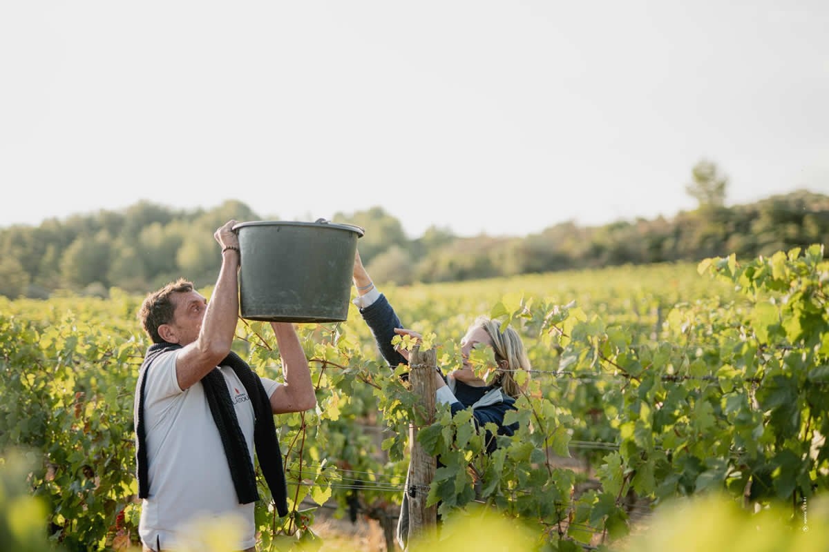 Sudfrance.fr - Aventure vigneronne en Corbières Maritimes