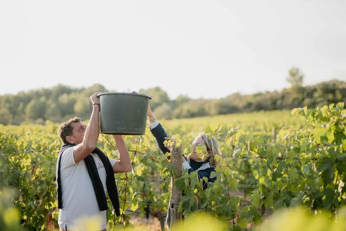 Sudfrance.fr - Aventure vigneronne en Corbières Maritimes