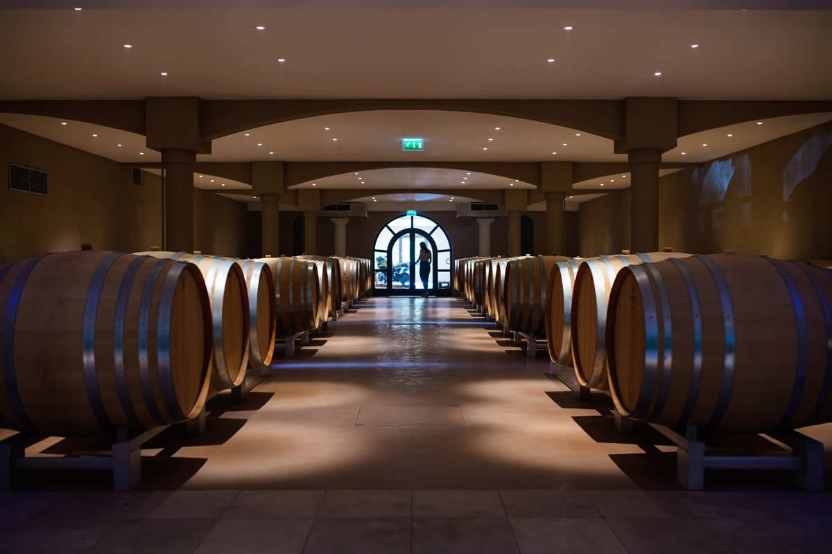 Sudfrance.fr - Aventure vigneronne en Corbières Maritimes