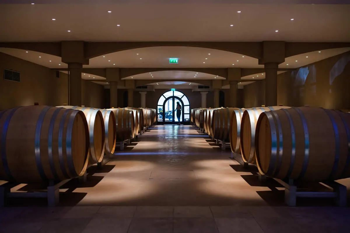 Sudfrance.fr - Aventure vigneronne en Corbières Maritimes