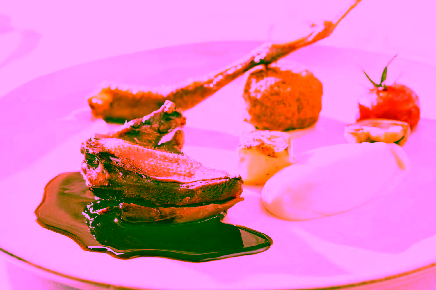 Sudfrance.fr - Prestige et gastronomie au manoir