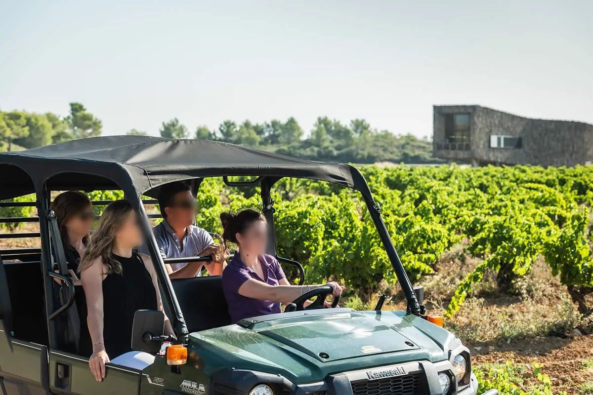 Sudfrance.fr - Séjour déconnexion au cœur des vignobles