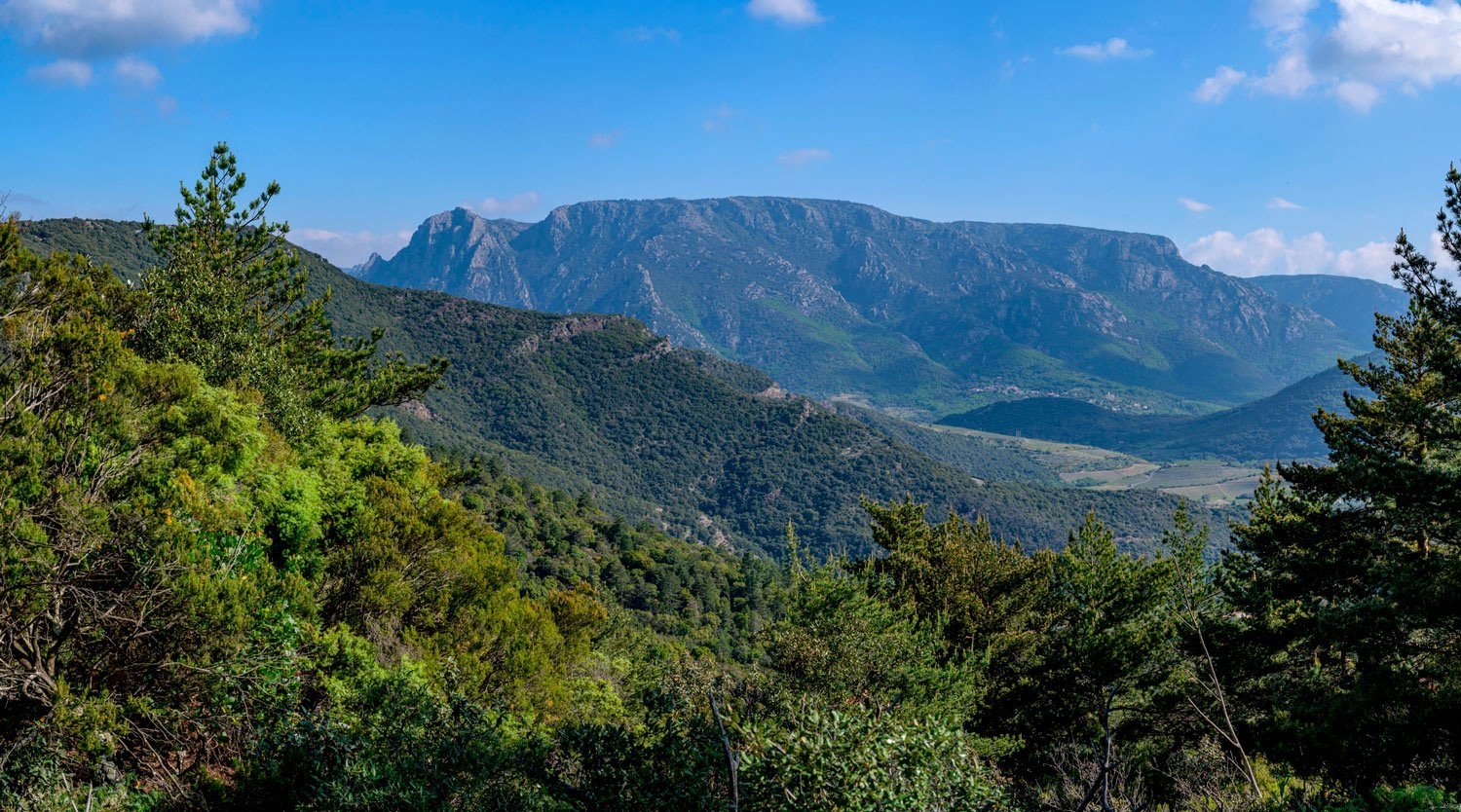 Sudfrance.fr - Escapade gourmande au milieu des vignes