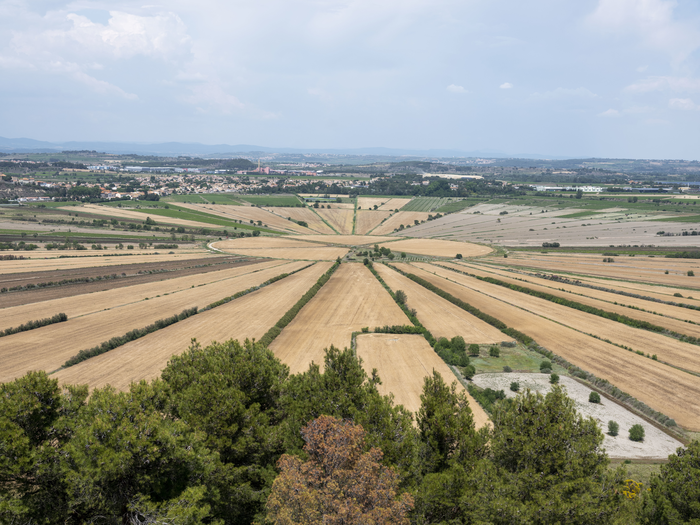 Sudfrance.fr - Oppidum d'Ensérune
