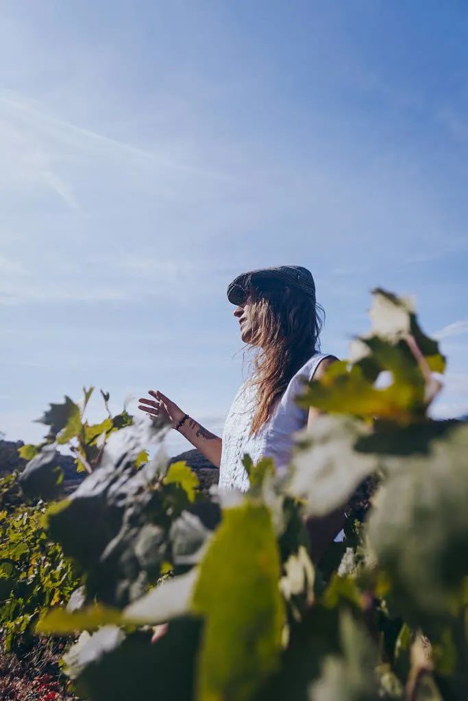 Sudfrance.fr - An unusual and unforgettable night in the heart of the vineyard
