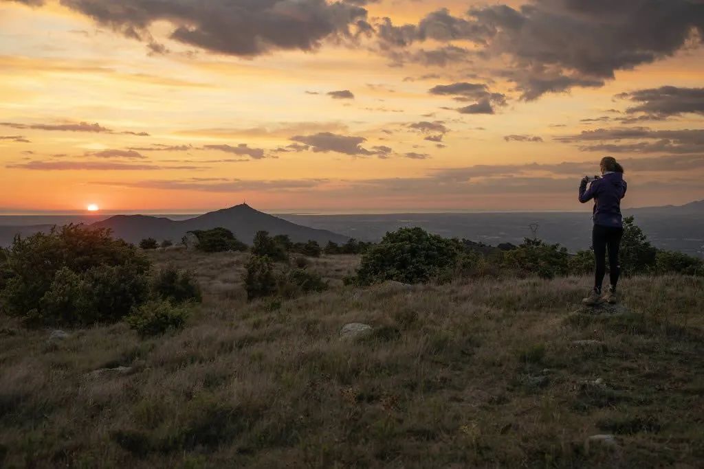 Sudfrance.fr - An unusual and unforgettable night in the heart of the vineyard