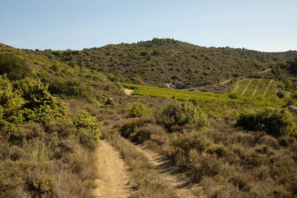 Sudfrance.fr - Nuit insolite et inoubliable au coeur du vignoble