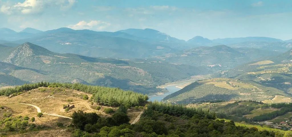 Sudfrance.fr - An unusual and unforgettable night in the heart of the vineyard