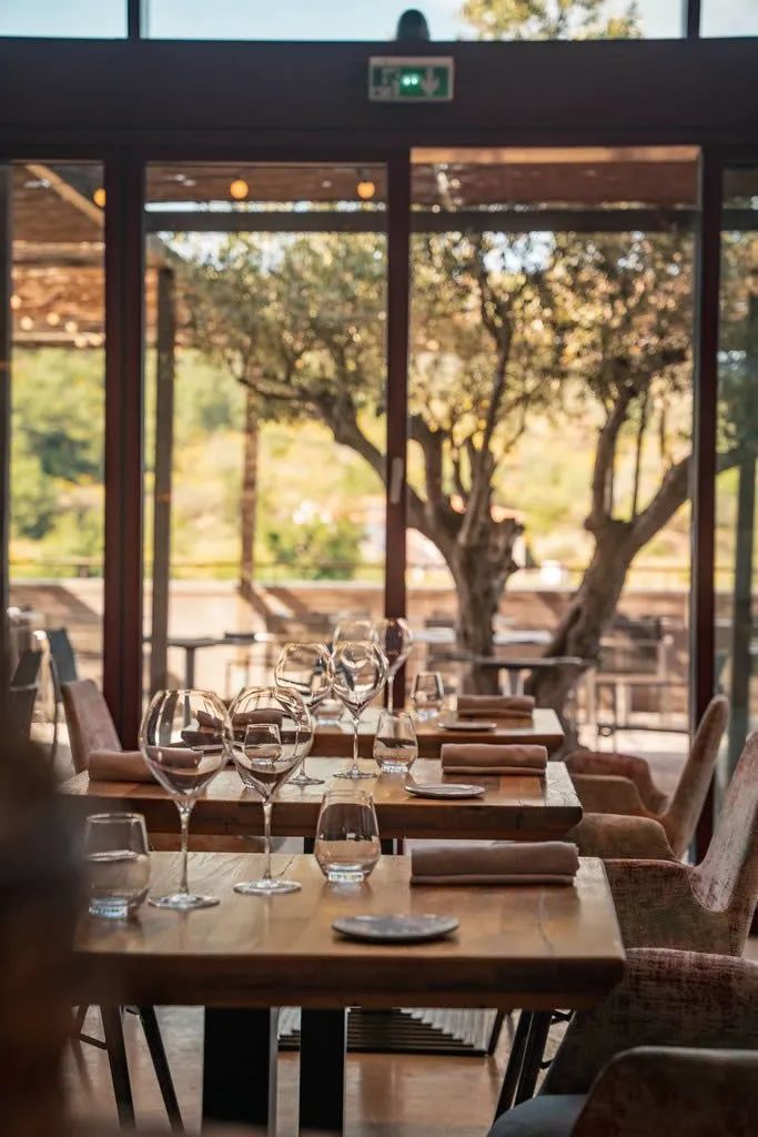 Sudfrance.fr - An unusual and unforgettable night in the heart of the vineyard