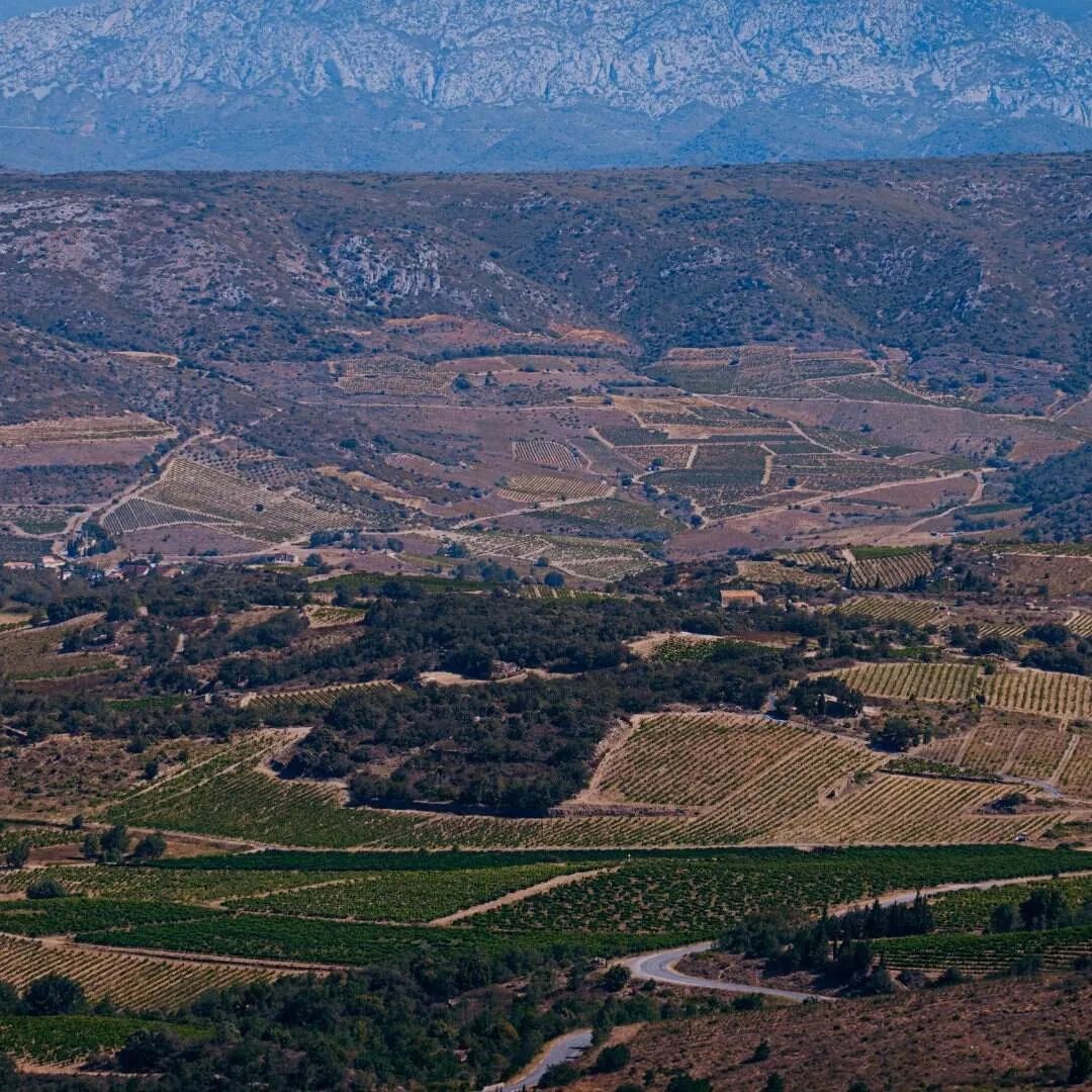 Sudfrance.fr - An unusual and unforgettable night in the heart of the vineyard