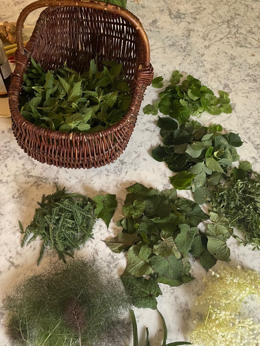 Sudfrance.fr - Escapade gourmande dans le Tarn