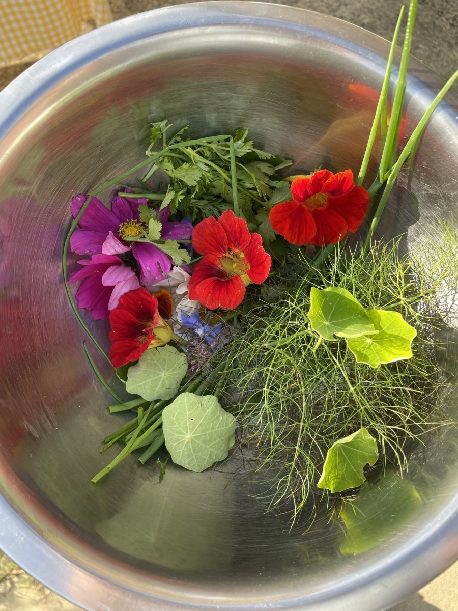 Sudfrance.fr - Escapade gourmande dans le Tarn