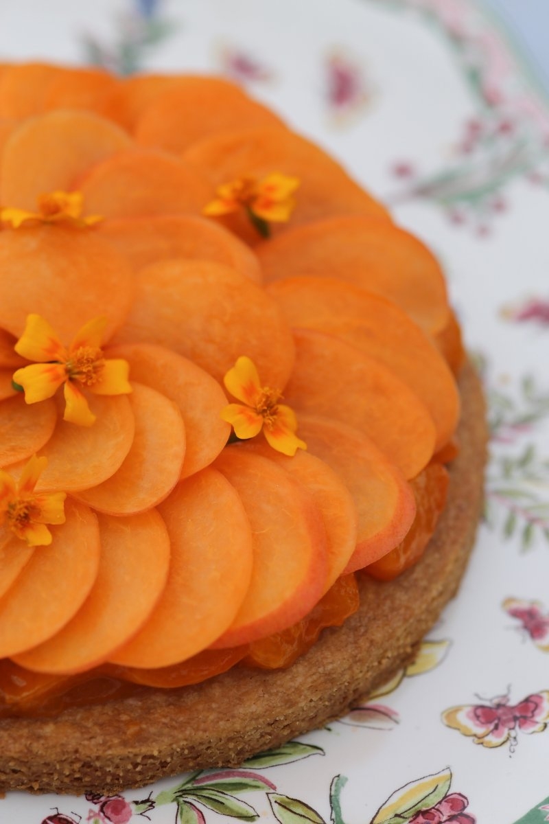 Sudfrance.fr - Escapade gourmande dans le Tarn