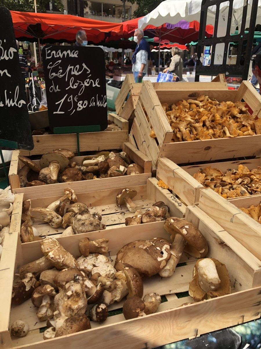 Sudfrance.fr - Escapade gourmande dans le Tarn