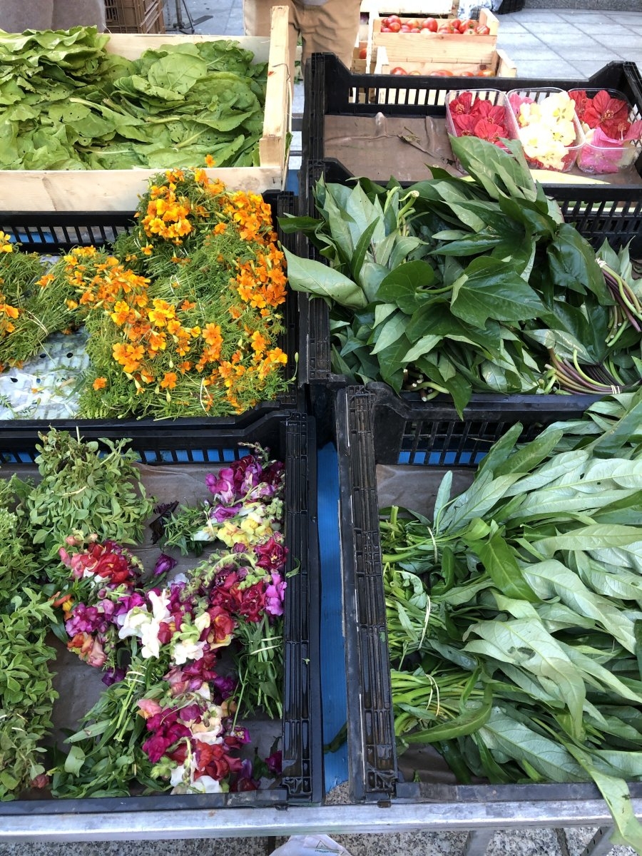 Sudfrance.fr - Escapade gourmande dans le Tarn