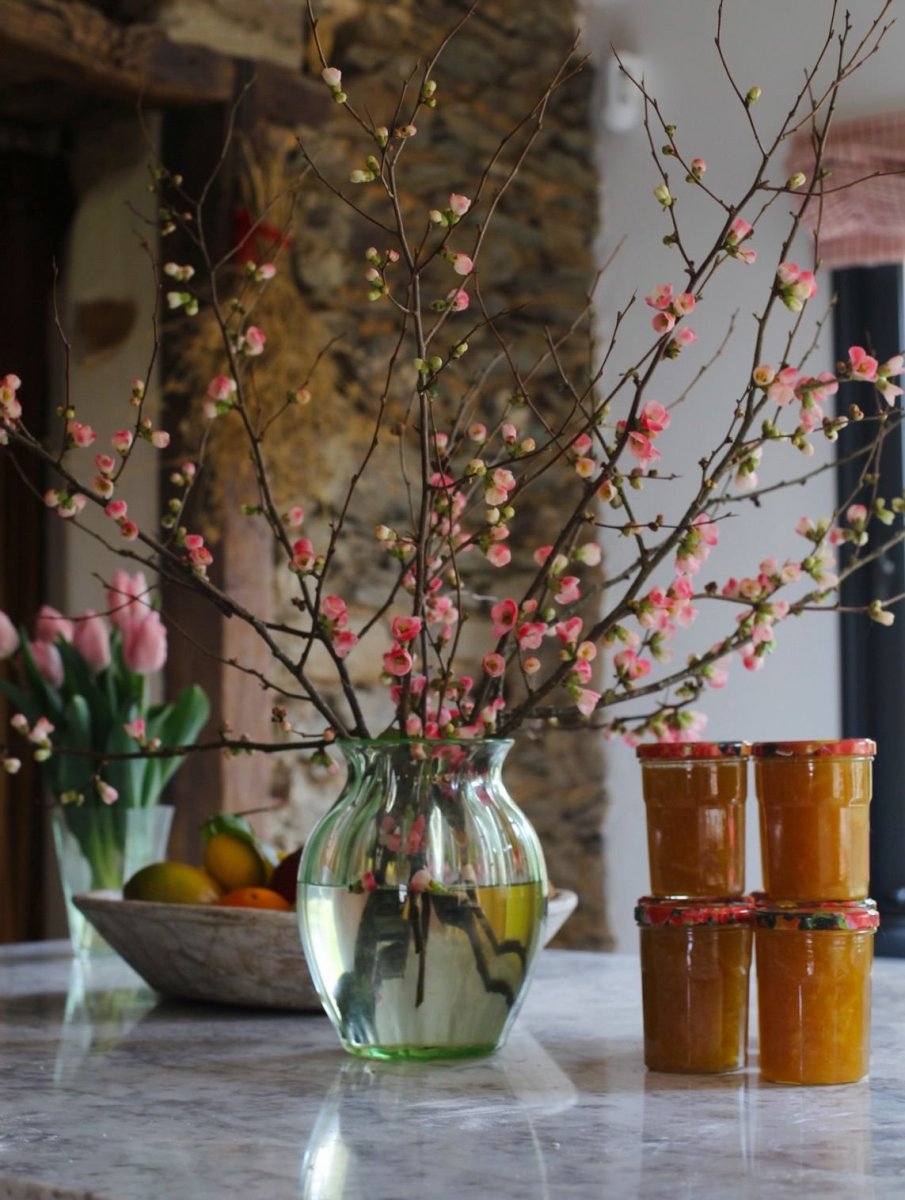 Sudfrance.fr - Escapade gourmande dans le Tarn