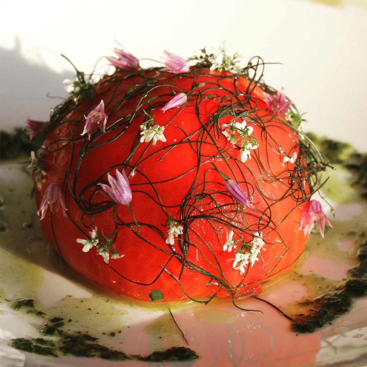 Sudfrance.fr - Escapade gourmande dans le Tarn